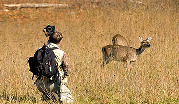 gir_lodge_will_assist_in_wildlife_leopard_and_lion_photography_safaris_and_jungle_trips_always